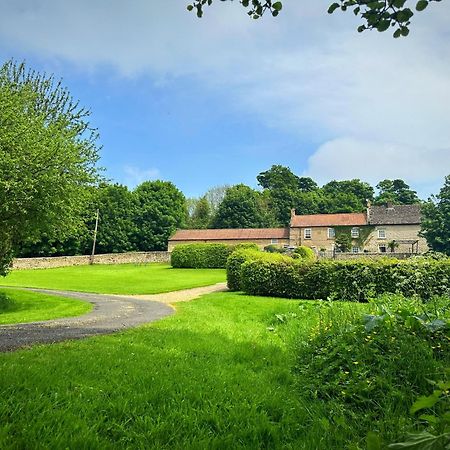 סקארבורו Old Orchard Cottage, Wykeham מראה חיצוני תמונה