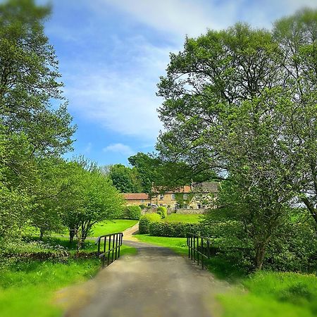 סקארבורו Old Orchard Cottage, Wykeham מראה חיצוני תמונה