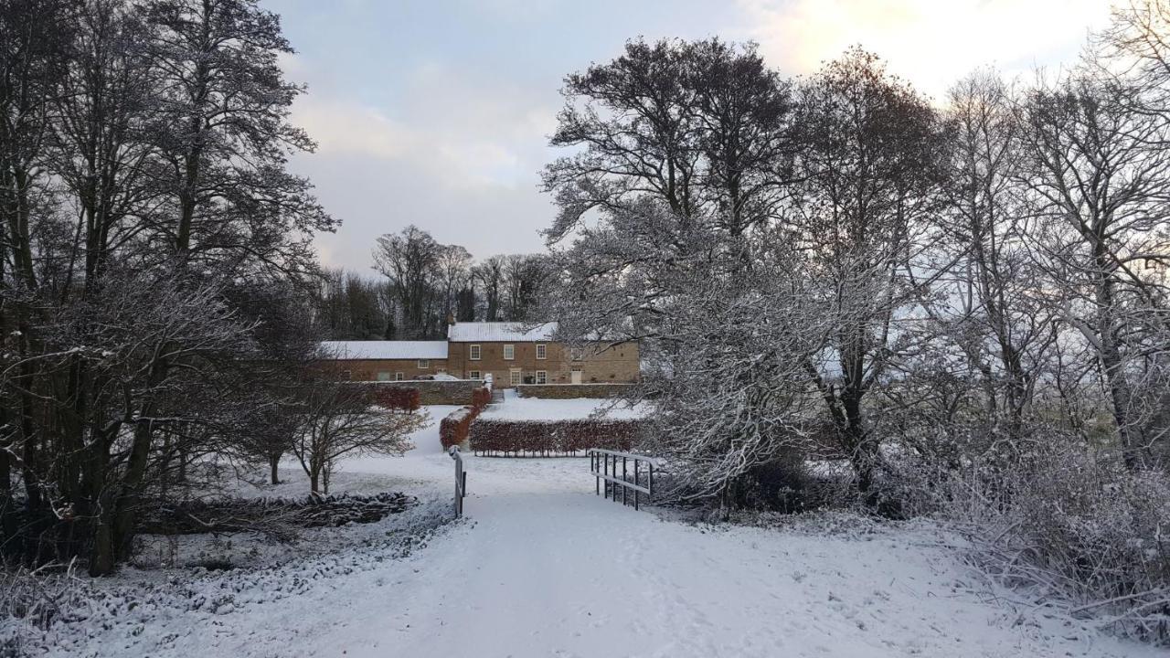 סקארבורו Old Orchard Cottage, Wykeham מראה חיצוני תמונה