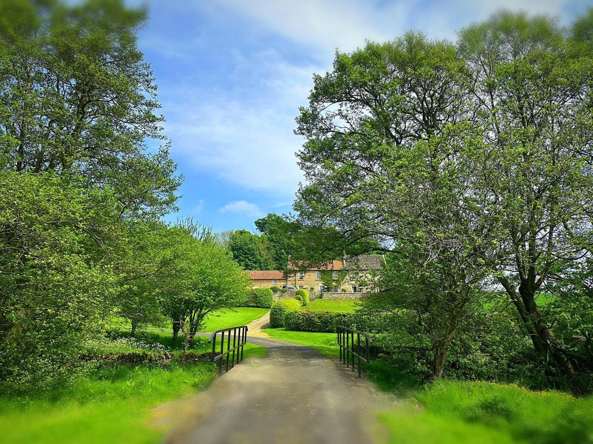 סקארבורו Old Orchard Cottage, Wykeham מראה חיצוני תמונה